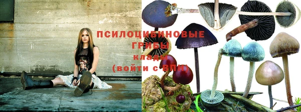 Альфа ПВП Балахна