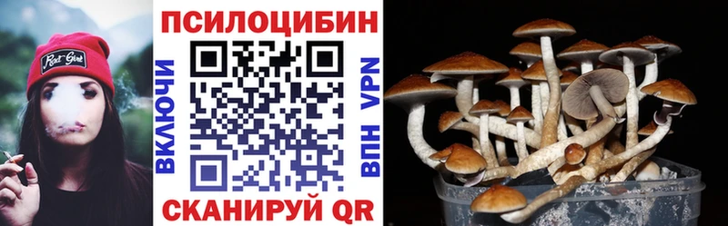 цена Белореченск Псилоцибиновые грибы Magic Shrooms